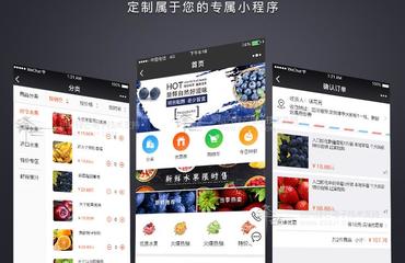 南昌專業(yè)開(kāi)發(fā)小程序朋友圈廣告投放